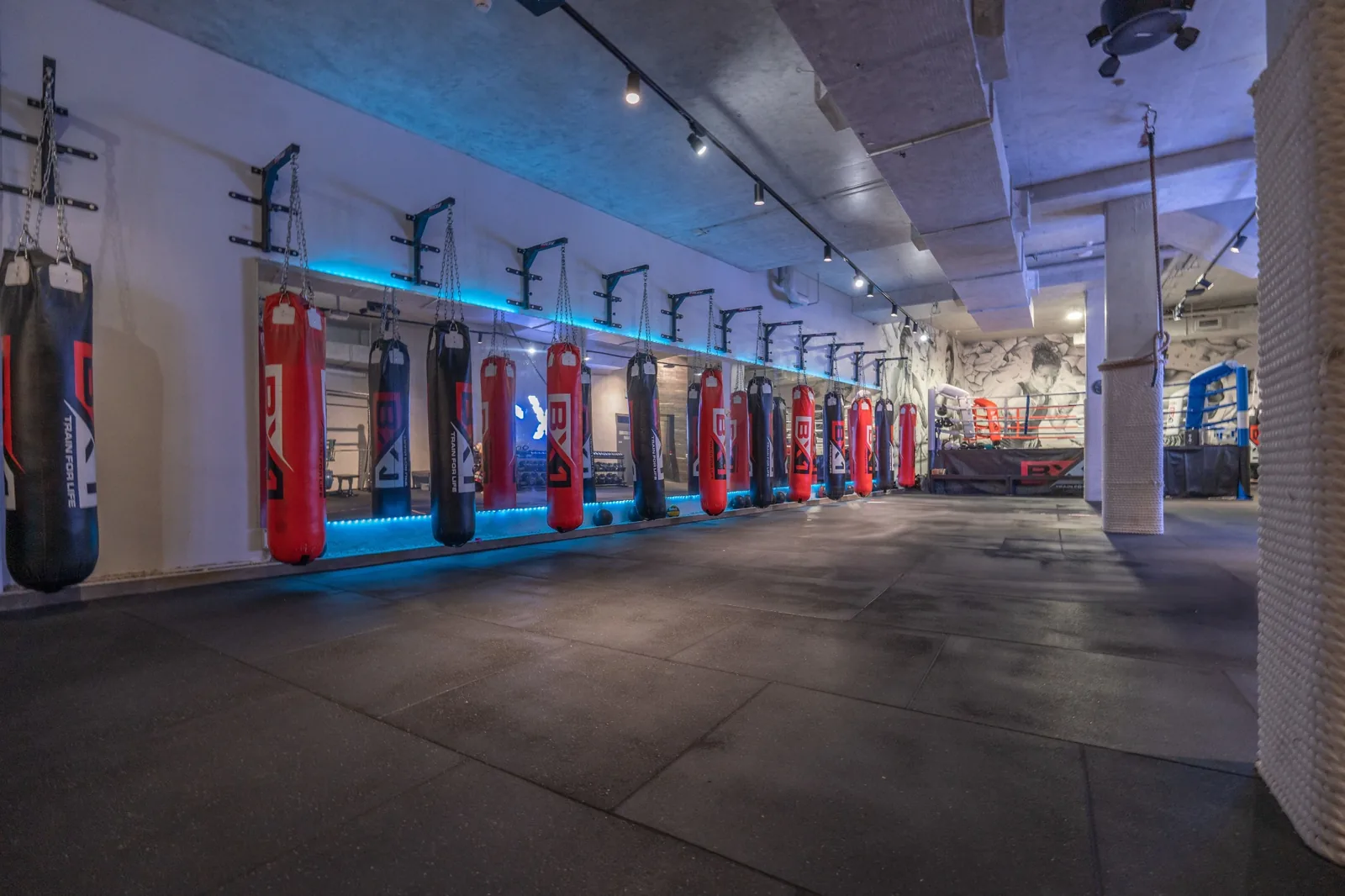 BX1 Gym training area in Neutral Bay with boxing bags and full-size boxing ring