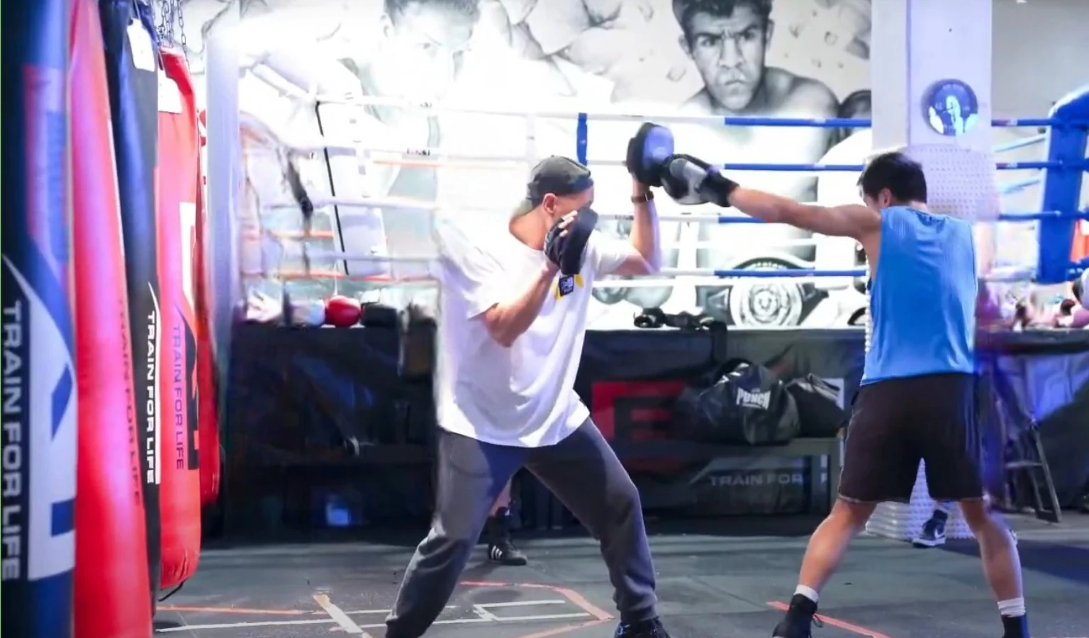 Male client training boxing one-on-one on pads with a BX1 coach in Neutral Bay